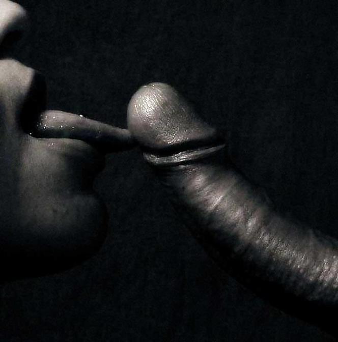 8P Erotic 2