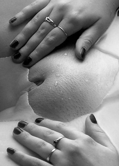 15P Erotic and Funny pics