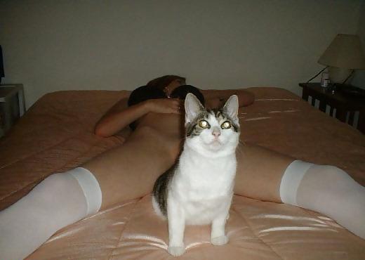 15P Erotic and Funny pics