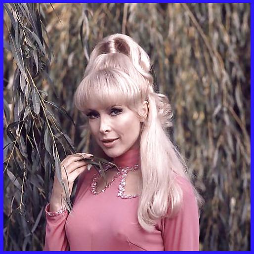 22P Barbara Eden