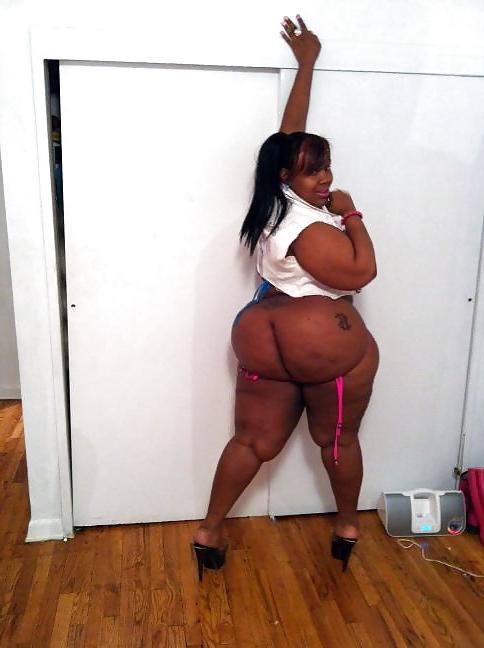 25P BIG AZZ AMATUER BACKSHOTZ: Booty