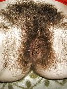 7P Pussy