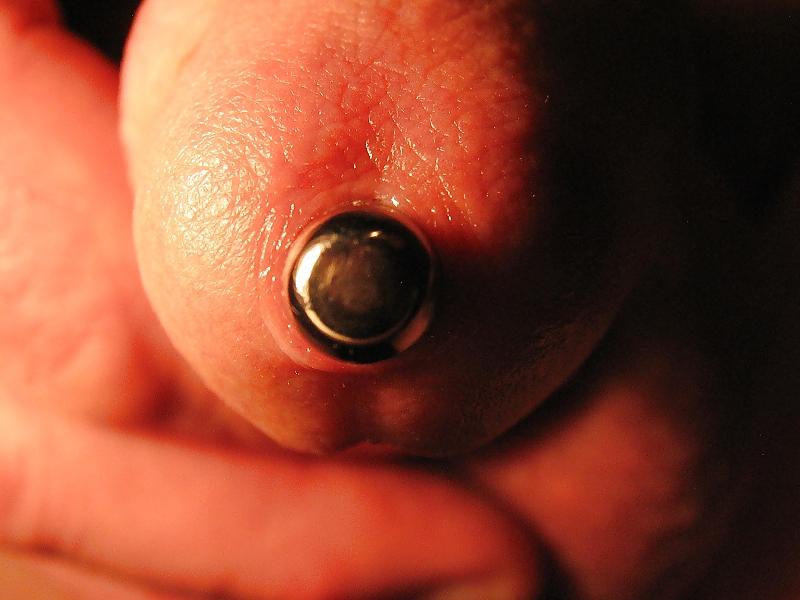 25P Cock lips on super macro... with sounding!