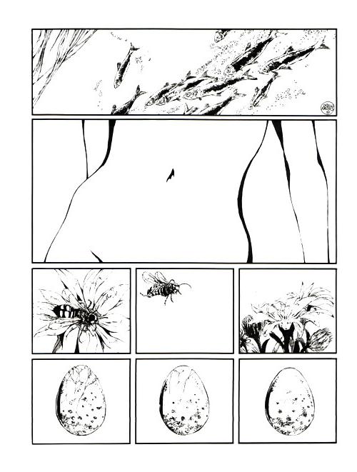 25P Erotic Cartoons 4 -  Guido Crepax Mix