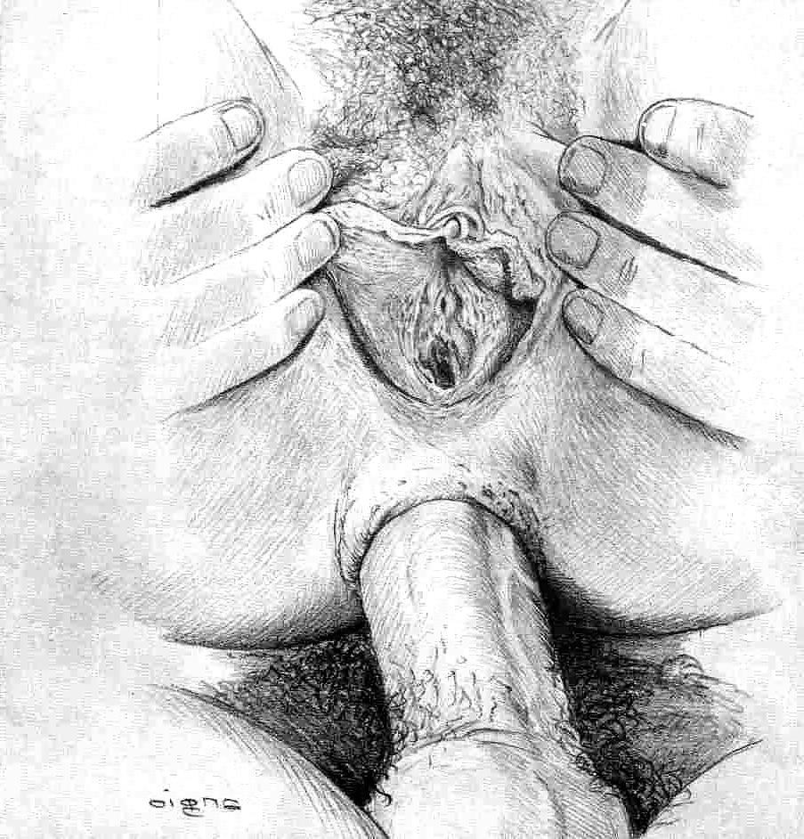25P Dessins - Anal