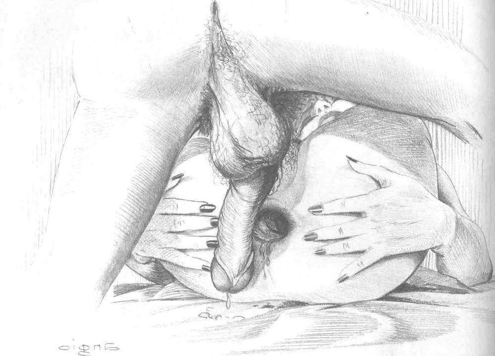 25P Dessins - Anal