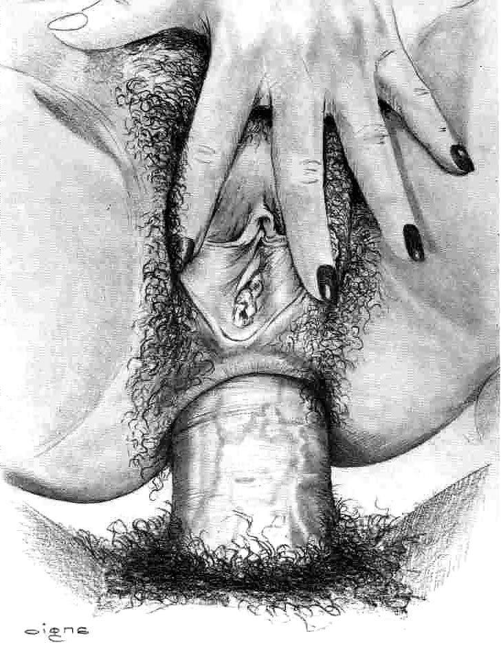 25P Dessins - Anal