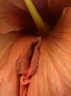 5P Erotic Flowers