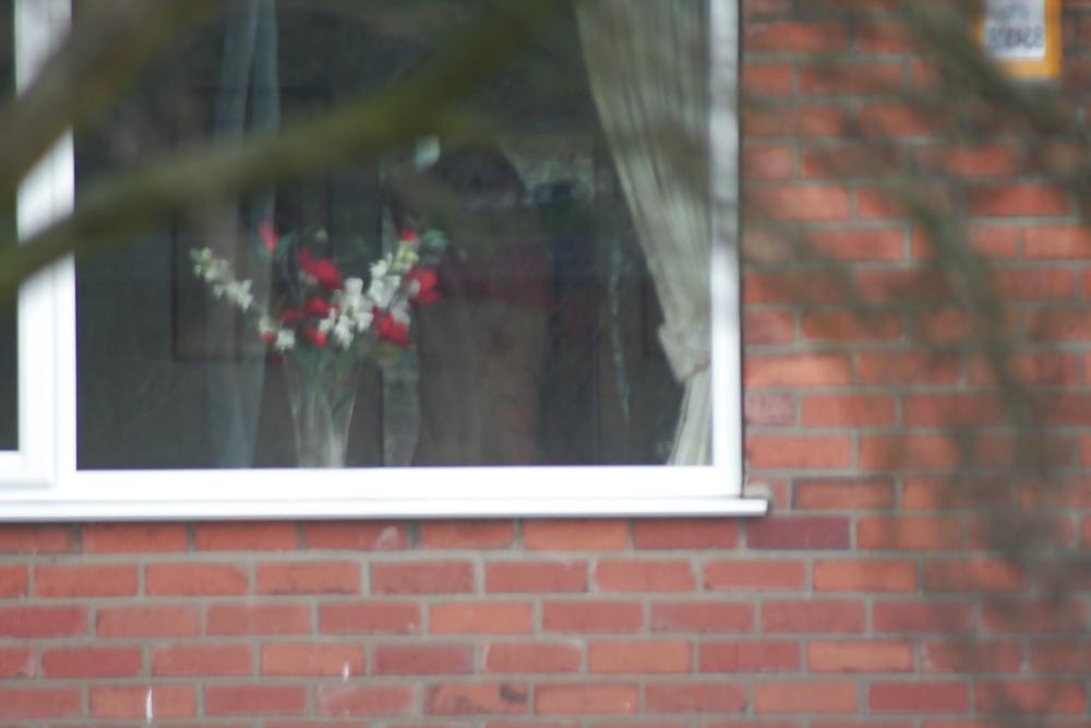 19P Sneaky spy pics