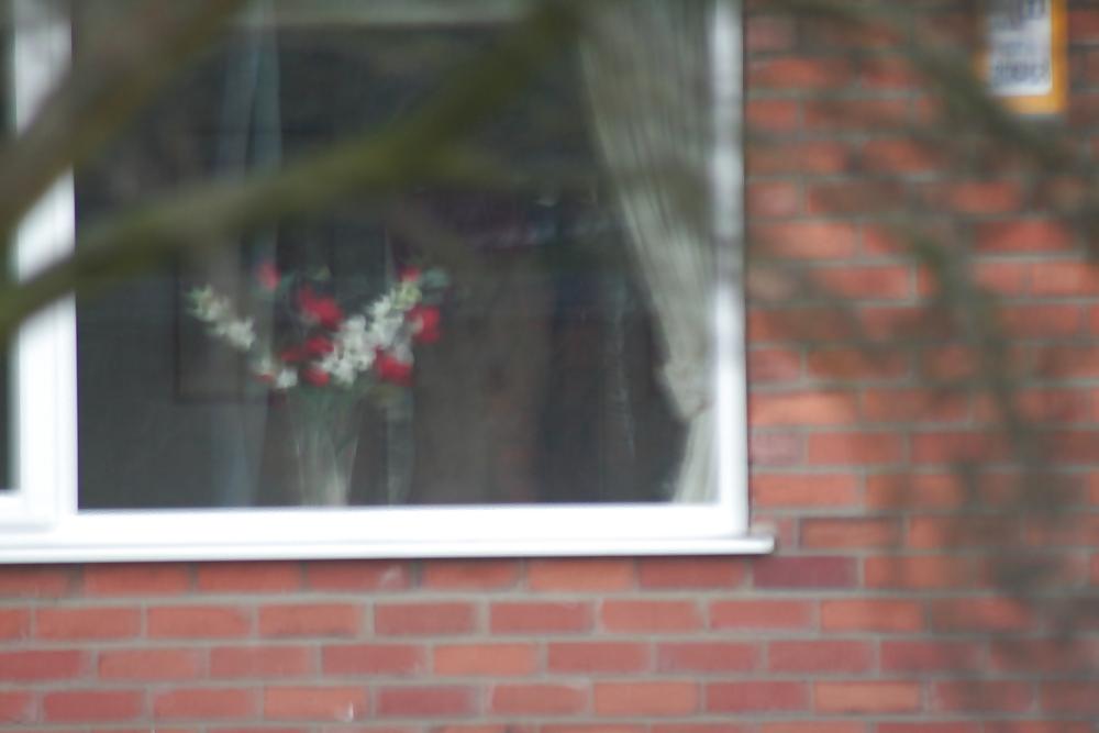 19P Sneaky spy pics
