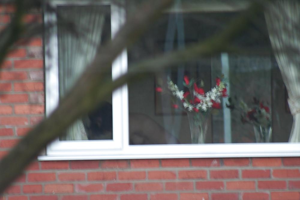 19P Sneaky spy pics