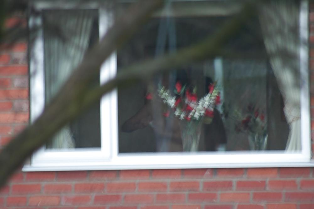 19P Sneaky spy pics