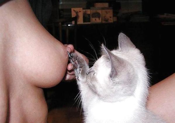 25P PIERCINGS: PUSSY AND TITS