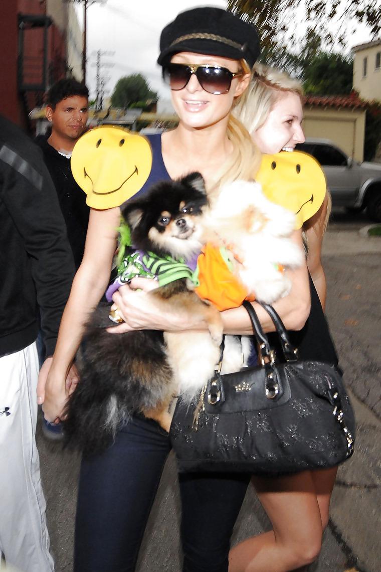 25P Paris Hilton mega collection 2 