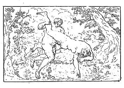 14P Erotic Book Illustrations 3 -  Cabinet of Amor and Venus