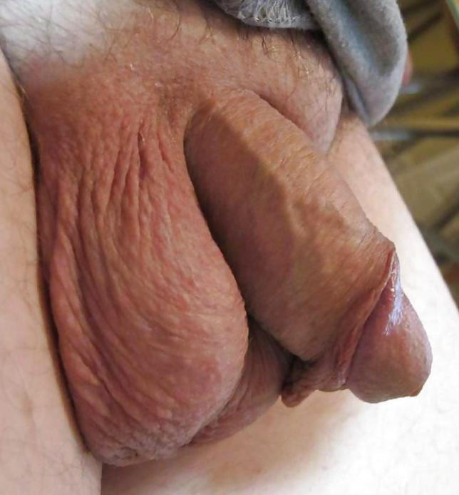 12P HUSBANDS & MY CROSSDRESSER-WHORES
