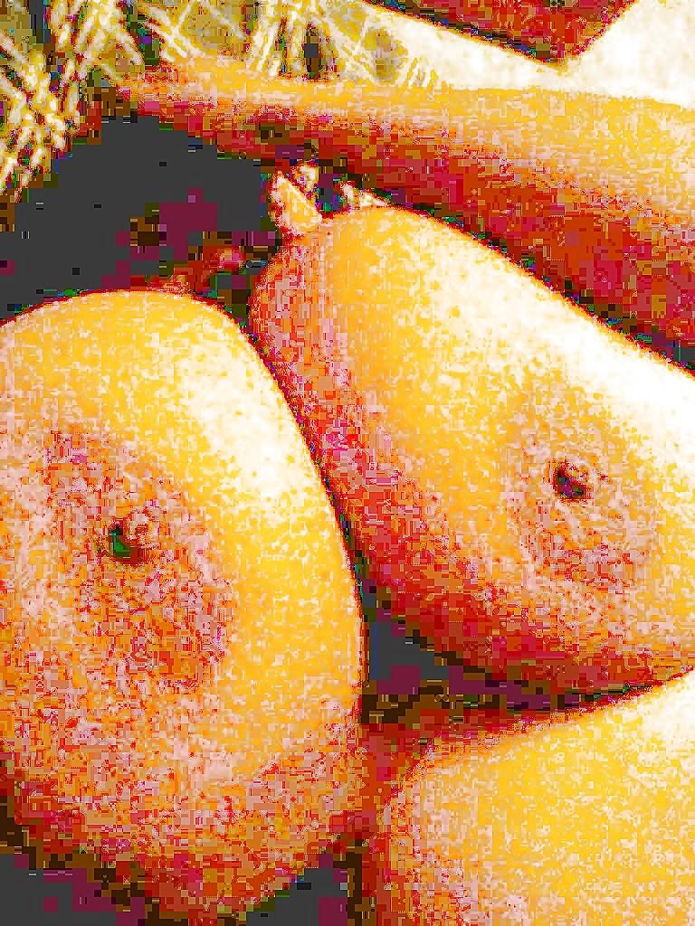 11P Große schwarze Brüste 2