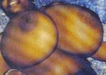 11P Große schwarze Brüste 2