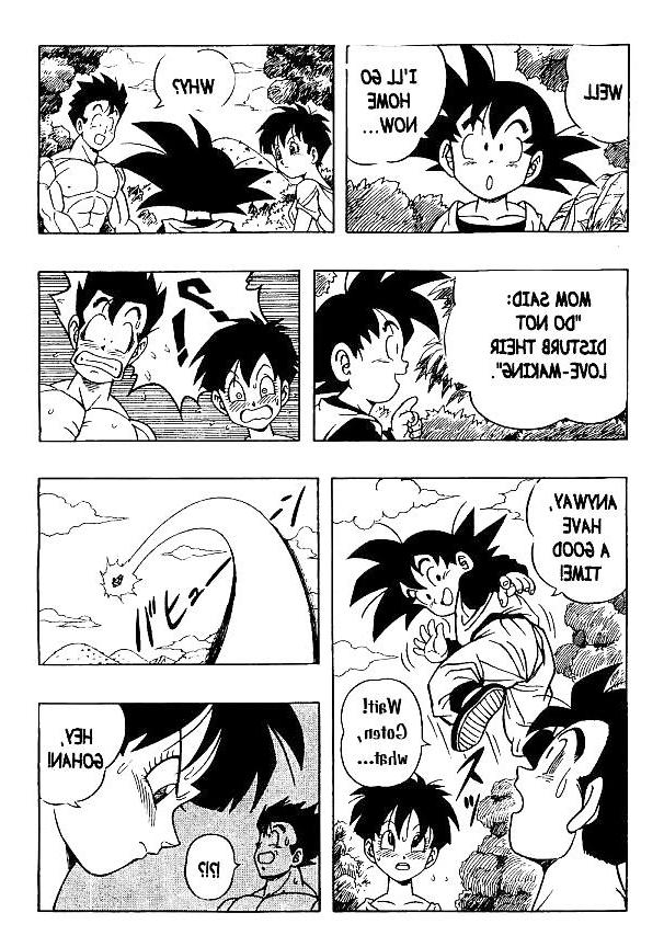 25P Dragon Ball H - Gohan & Videl