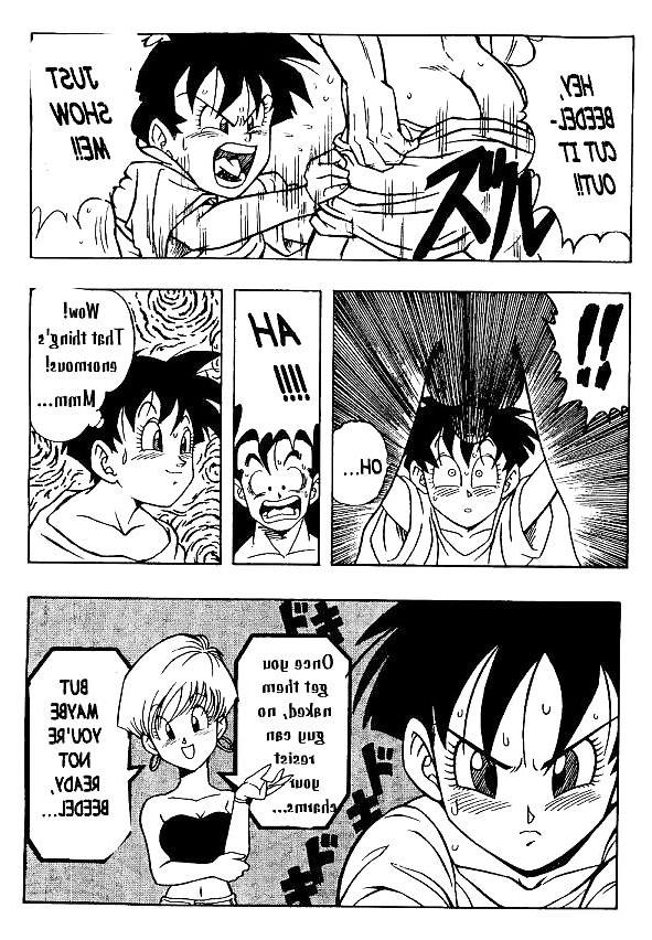 25P Dragon Ball H - Gohan & Videl