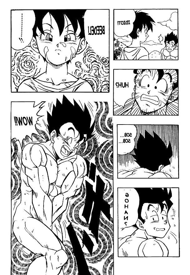 25P Dragon Ball H - Gohan & Videl