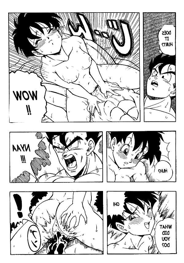 25P Dragon Ball H - Gohan & Videl