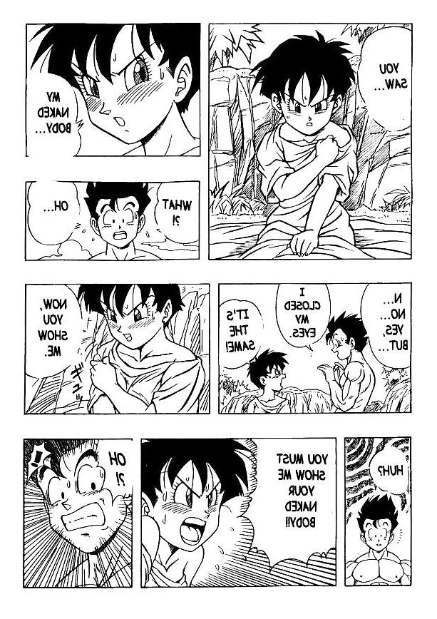 25P Dragon Ball H - Gohan & Videl
