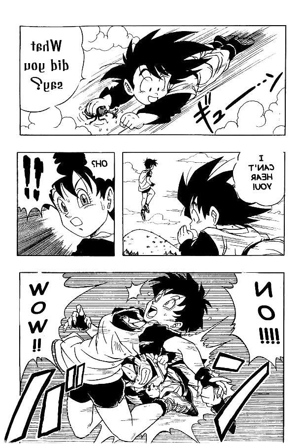 25P Dragon Ball H - Gohan & Videl