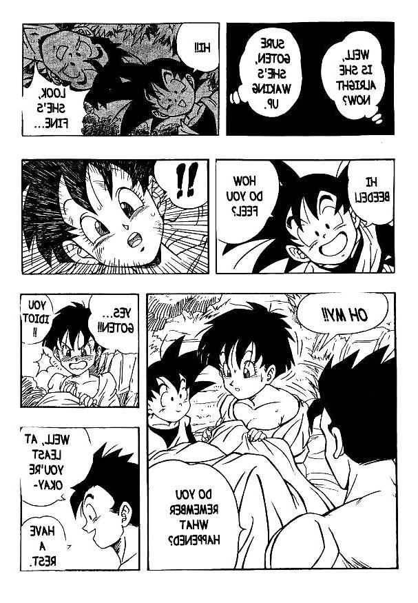 25P Dragon Ball H - Gohan & Videl