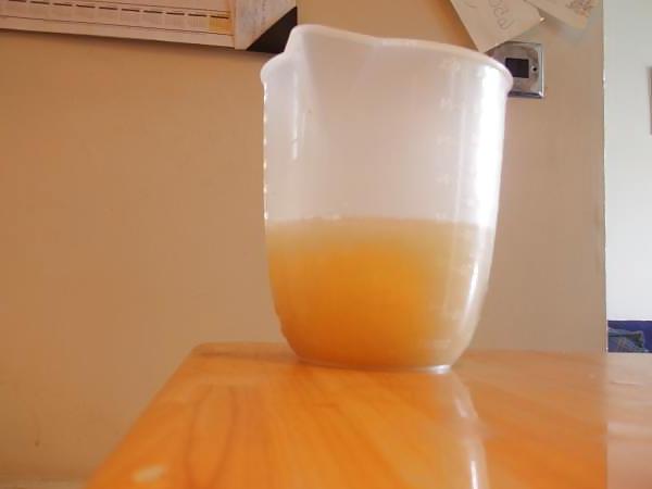 25P Frozen - Thaw Cum Drinking