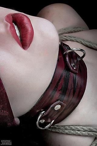 25P Erotic Gallery 3