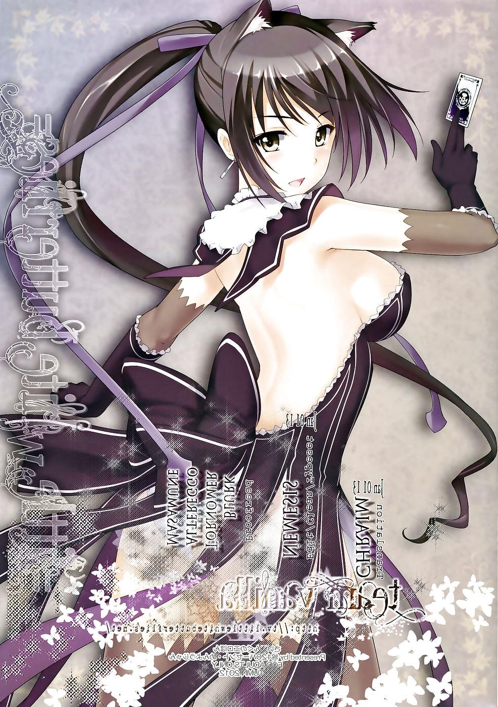 17P Shining Erotic Book
