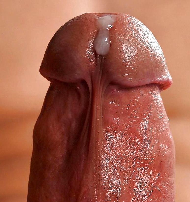 6P Dripping cocks