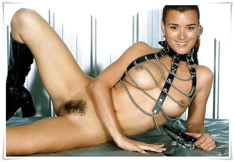16P N.C.I.S. Ziva's Confidential Pics (Cote de Pablo)