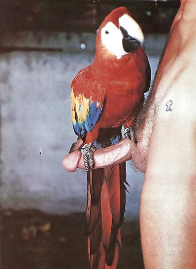 24P Funny & Erotic