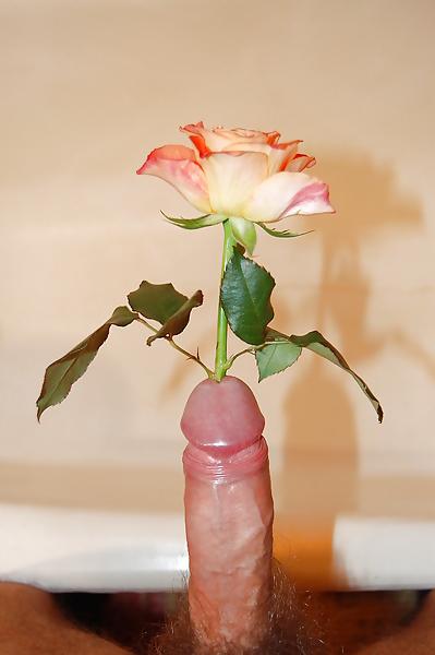 24P Funny & Erotic