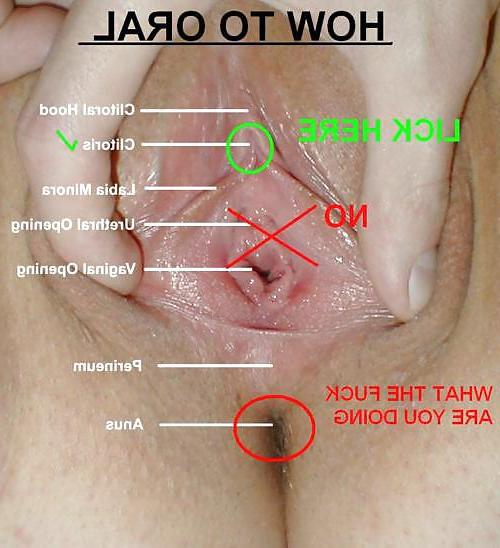 24P Funny & Erotic