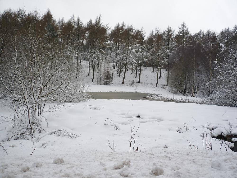 7P Spring Scenes
