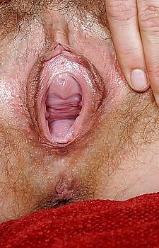 12P Pussy 4