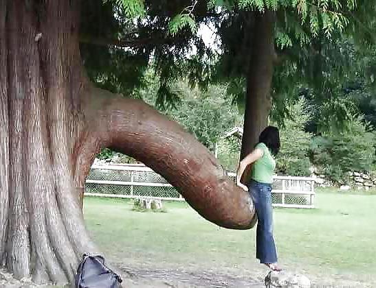 25P Funny & sexy 10