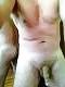 6P Cream Pie  Amateur   Blondes