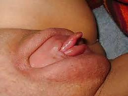19P Pussy - Up Close