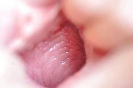 19P Pussy - Up Close