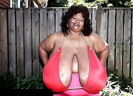 15P PLUMP & CHUBBY  EBONY BLACKS MILFS MATURES 