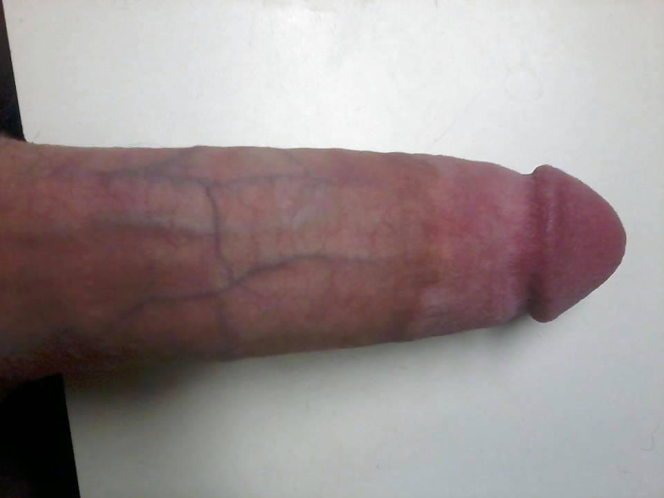 25P Master Nenad