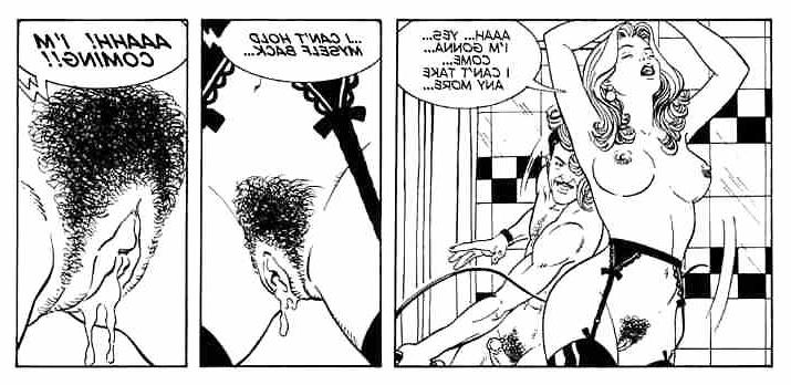 15P Anal sex in the bathroom