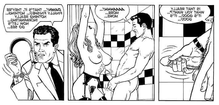 15P Anal sex in the bathroom