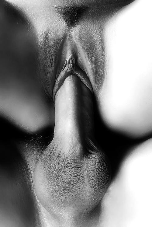 25P Creampies & Breeders 3