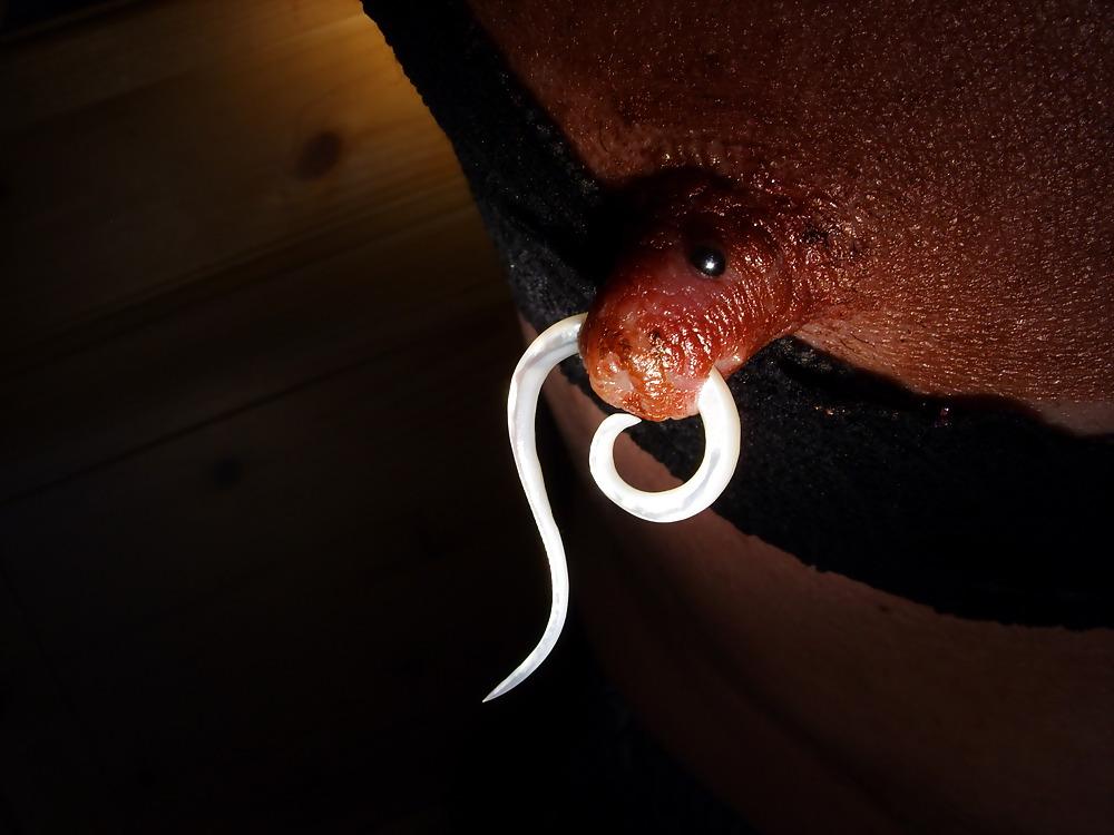 18P Meine nippel  piercing  geschminkt  