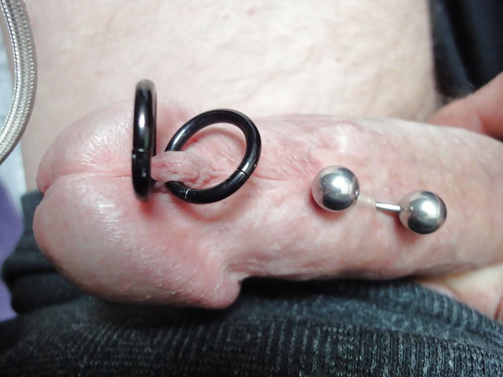 25P HD closeup of my pierced circumcised penis
